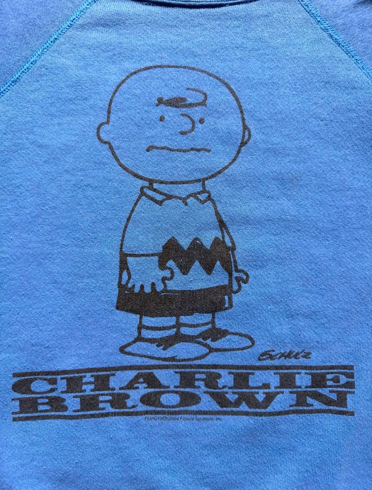 Charlie Brown 90s Peanuts Sweatshirt